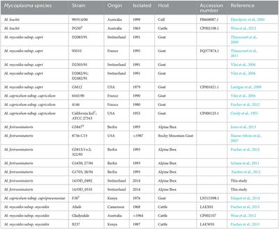 Corrigendum: Evidence for the cytoplasmic localization of the L-α-Glycerophosphate oxidase in members of the “Mycoplasma mycoides cluster”